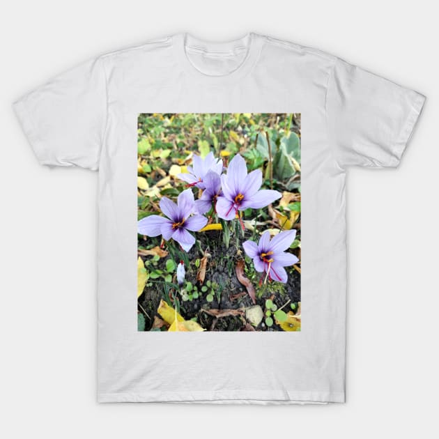 Beautiful saffron flowers T-Shirt by Gourmetkater